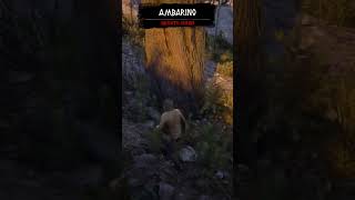 Red Dead Redemption 2 Chicks Treasure Map treasuremap rdr2playthrough rdr2walkthrough [upl. by Feer]