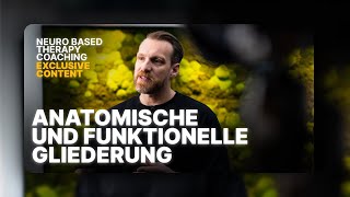 Anatomische und funktionelle Gliederung NBTC EXCLUSIVE CONTENT [upl. by Roel]