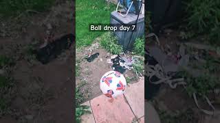 Ball drop day 7 football sports [upl. by Aikam]