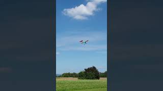 Prairie bird flying RC [upl. by Edme]