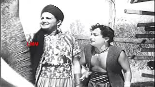 Yaanai Paagan Full Movie HD  Classic Super Hit Movie HD  Udaykumar  Saroja Devi  LMM Cinemas [upl. by Ahsillek]