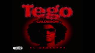 Abayarde  Tego Calderon [upl. by Namara]