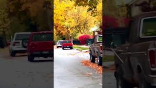 Coeur D’ Alene Idaho trees changing colors fall autumn [upl. by Tracie658]