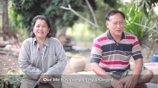 Leucaena farmers เรื่องราวชีวิตของเกษตรกรผู้ปลูกกระถินยักษ์สายพันธุ์ทารัมบ้า [upl. by Nanaj450]