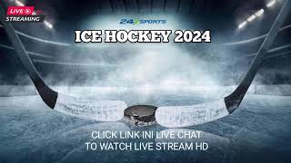 Fehervar Hockey Academy 19 U20 vs VSV U20  Ice Hockey Live Stream 2024 [upl. by Bolling]