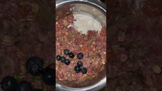 RAW DOG FOOD APBT americanpitbullterrier canineathletes dog [upl. by Orenid]