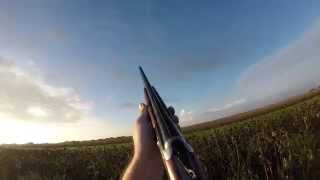 Day 2 El Campo TX Dove Hunt 2014 [upl. by Hollander]