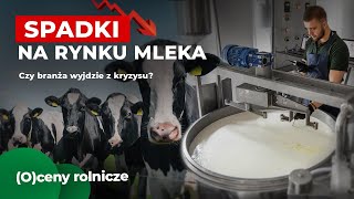 Kolejne spadki na rynku mleka Co się dzieje z branżą [upl. by Alyosha]