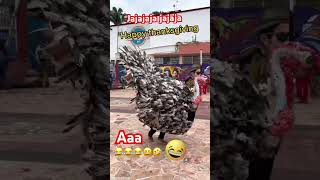 Happy Thanksgiving corridos banda musica music funny musicazen humor car espaciomusicalzen [upl. by Avraham]