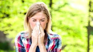 Allergischer Schnupfen allergische Rhinitis Rhinitis allergica [upl. by Eralc]