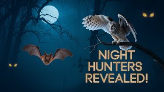 Nocturnal Animals How Wildlife Survives in the Darkyt  latestnocturnal yt animals [upl. by Ettezus400]