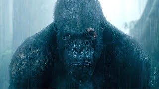 Tarzan Saves Akut  The Legend of Tarzan 2016 Movie Clip HD [upl. by Baten]