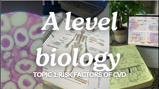 A level biology Edexcel A SNAB Topic 1 Risk Factors of CVD [upl. by Dunn152]