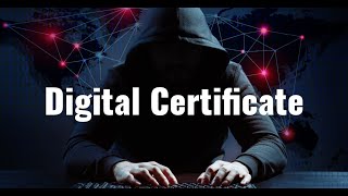 Digital Certificates [upl. by Ekaterina]