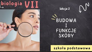 Biologia 7 Lekcja 2  Budowa i funkcje skóry [upl. by Eelessej449]