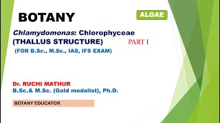 Chlamydomonas Thallus Structure BSc I year MSc Botany [upl. by Etnaled729]