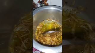 Phli bar dekha Etna badha nimbu minivlogi food shortvideo [upl. by Caresse]