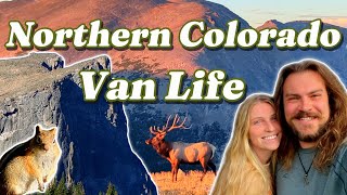 The Best Views in Rocky Mountain National Park Free Camping in Colorado [upl. by Otanutrof]