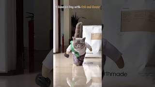 A Comedic Day with Cat and Owner [upl. by Lynelle]