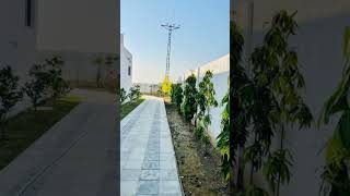 8 kanal farmhouse for sale in bedian road realestate realestateagents [upl. by Atnauqal486]