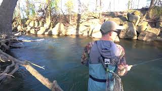 Fly Fishing with Euro Nymphing Techniques on a Small Stream [upl. by Sheedy]