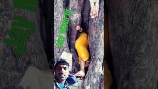 Jay mata di kripa mata vlog song nature funny hindisong music trendingshorts viral video [upl. by Dor]