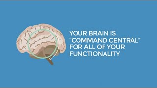 Put Your Best Brain Forward [upl. by Marji]