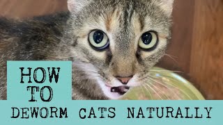 How to Deworm Cats Naturally with Diatomaceous Earth [upl. by Nahpets503]