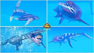 New Prehistoric Marine Species Pack All Animations amp Other Interactions 🦖 Jurassic World Evolution 2 [upl. by Natalee425]