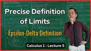 Definition of Limits amp OneSided Limits  Lecture 5 Calculus 1 [upl. by Esinel]