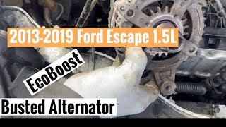 20132019 Ford Escape EcoBoost 15L Busted Alternator Missing Belt 🚘 [upl. by Gottuard948]