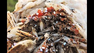 Vanadinite crystals on Baryte blades mineral specimen from Mibladen in Morocco [upl. by Aivekal]