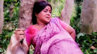 बंदर ने बचाई अपने मालकिन की जान  Zabardast Action Scene  Jeene Ki Arzoo Movie Scene [upl. by Vachill]