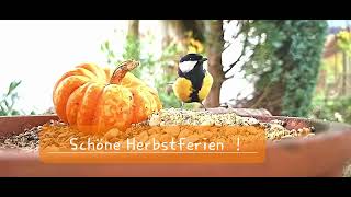 Schöne Herbstferien [upl. by Ninel]