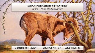 November 16 2024  Torah Portion 4  Vayera  quotAnd He Appearedquot  Genesis 181  2224 [upl. by Toinette]