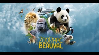 Zoo Parc de Beauval  Août 2020 [upl. by Bohs]