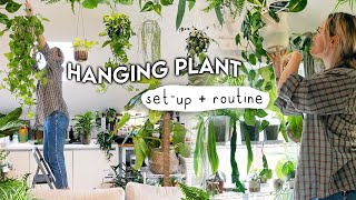 My LowLight HANGING Plant Collection Set Up  Watering Routine 💧 [upl. by Paderna]