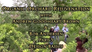 Organic Orchard Rejuvenation Part 3 Design Basics [upl. by Mcclure]