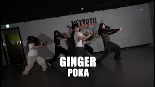 WIZKIDGINGER  POKA CHOREO [upl. by Marni]