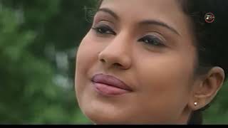 දම්පල් පුවත් ‍ Dampal news Dharmapala Film 08 [upl. by Ayihsa]