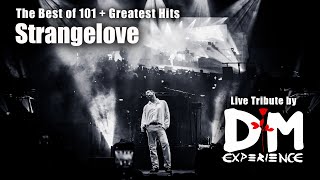 DM Experience  Strangelove Live  Depeche Mode Tribute Band [upl. by Christin]