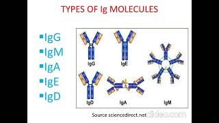 Know all about immunoglobulins [upl. by Ahsatin]