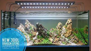 NEW 300L  Dragon stone aquascape inspired by the Turkish landscape [upl. by Ecila]