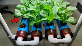 HYDROPONIC Farming at Home  Hydroponic Growing System for Beginners [upl. by Fortunio]