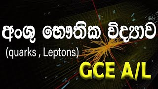 Particle Physics for AL students in SINHALA Part 1  Dileep Sooriarachchahi  Physics [upl. by Hemingway]