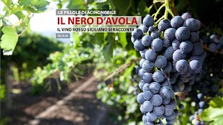 Nero DAvola  Sicilia [upl. by Seema840]