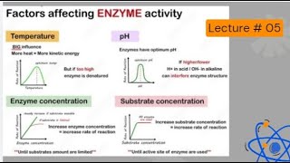 Factors affecting the enzymes activity l 1styear biology l enzymes [upl. by Heppman]