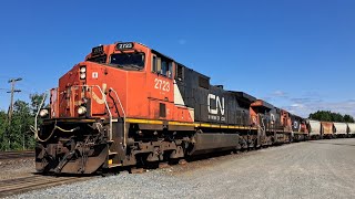 ILLINOIS CENTRAL DASH9 LEADS WC STICKER GEVO amp SPECIAL EMD IN TOW ON LOCAL FREIGHT TRAIN 598 [upl. by Nowell]