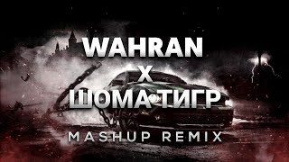 Randall Wahran x Asanrap Шома тигр  Wahran Russian Remix [upl. by Raval]