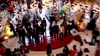 서울대합창단OB합창단 플래시몹 SNU Choir amp SNU OB Choir Flash Mob  IFC Mall Seoul [upl. by Name821]